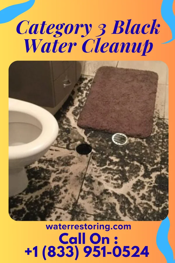 Category 3 Black Water Cleanup in Aurora, MN