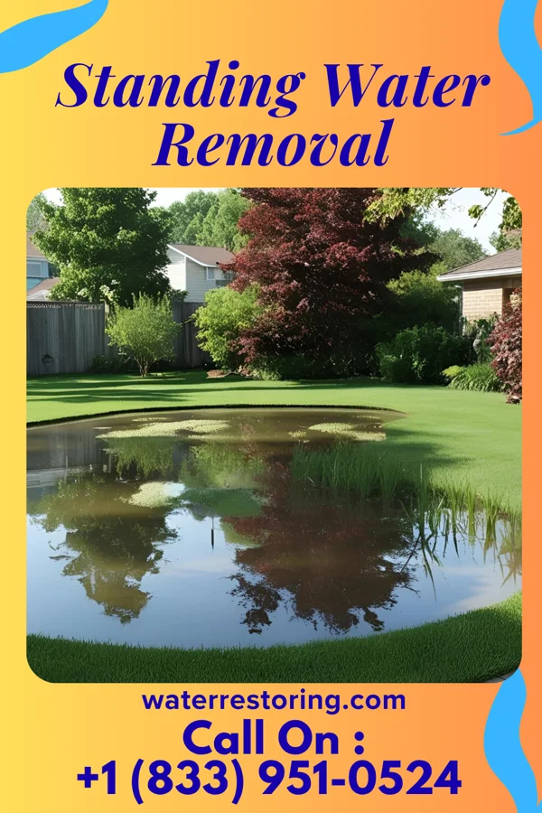 Standing Water Removal in Aurora, MN